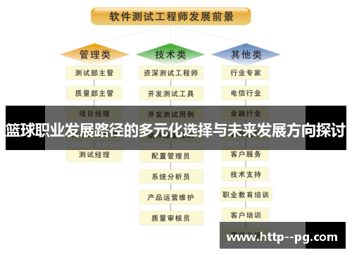 篮球职业发展路径的多元化选择与未来发展方向探讨