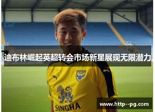 迪布林崛起英超转会市场新星展现无限潜力