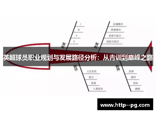 英超球员职业规划与发展路径分析：从青训到巅峰之路